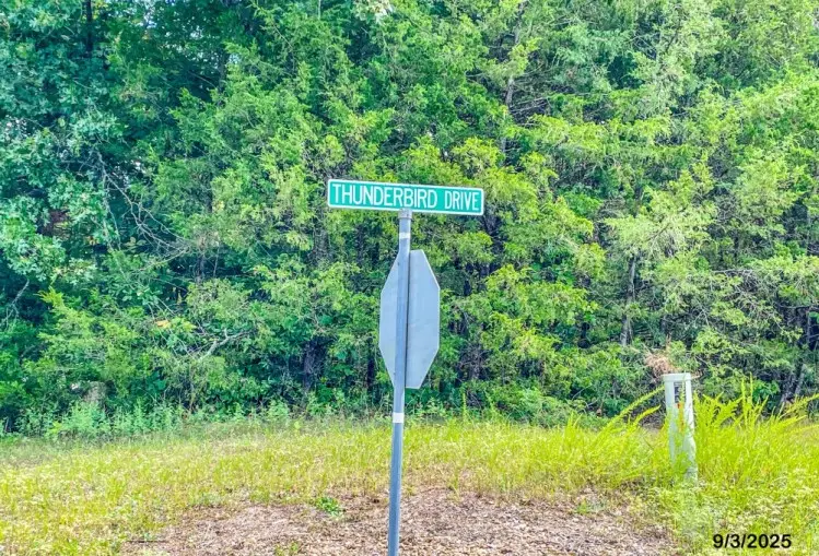 TBD Thunderbird Lane, Holiday Island, AR 72631 - Image #2