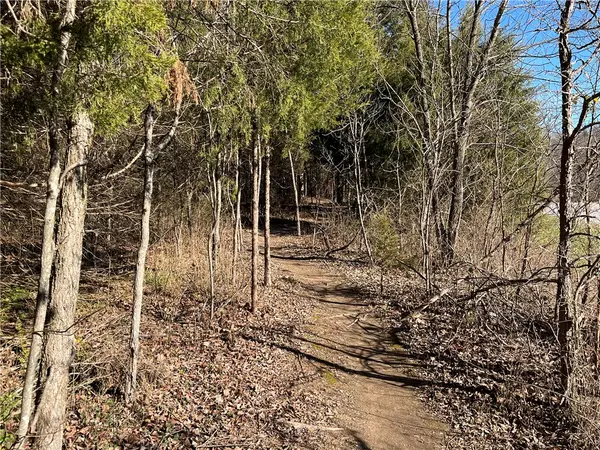 Lot 19, Block 1 Oniell Circle, Bella Vista, AR 72715