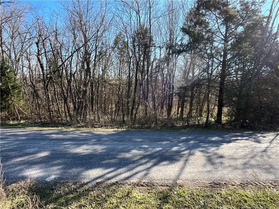 Lot 19, Block 1 Oniell Circle, Bella Vista, AR 72715 - Image #2