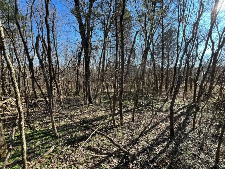 Lot 19, Block 1 Oniell Circle, Bella Vista, AR 72715 - Image #3