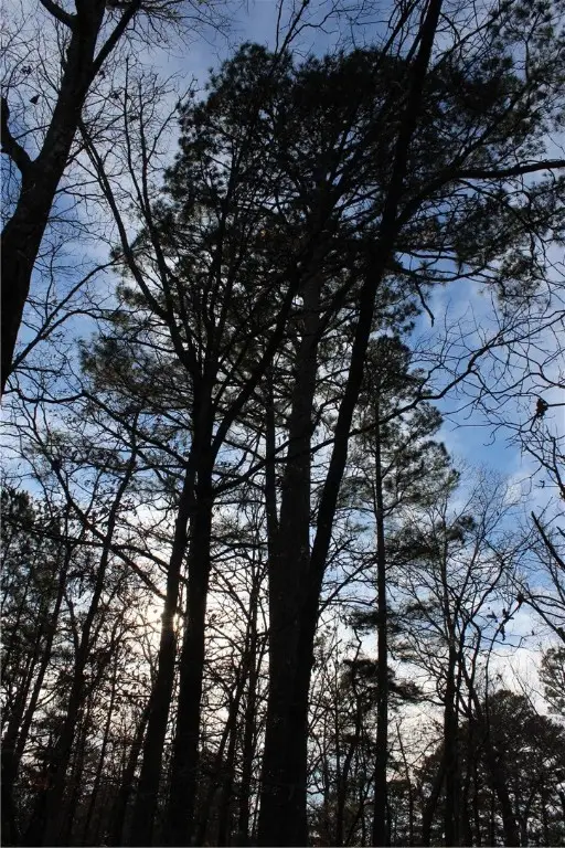 Horseshoe Trail, Kansas, OK 74347 - Image #2