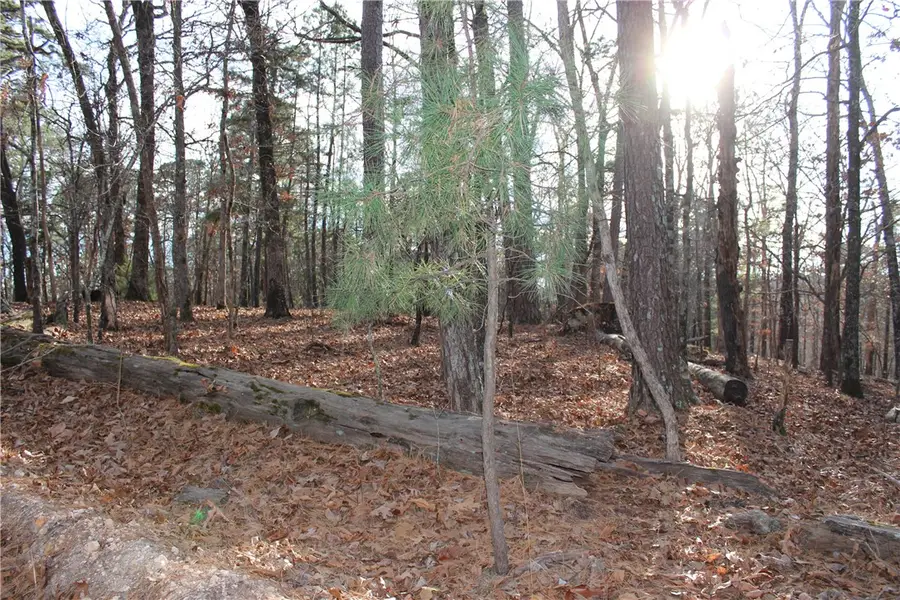 Horseshoe Trail, Kansas, OK 74347 - Image #3