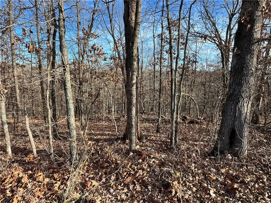 Lot 24, Block 13 Dewsbury Drive, Bella Vista, AR 72714 - Image #3