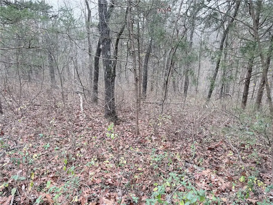 Baston Lane, Bella Vista, AR 72715 - Image #2