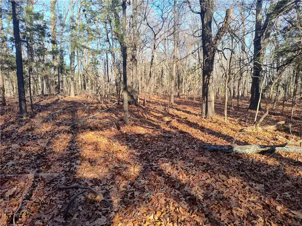 TBD Taylor Barnett Road, Garfield, AR 72732