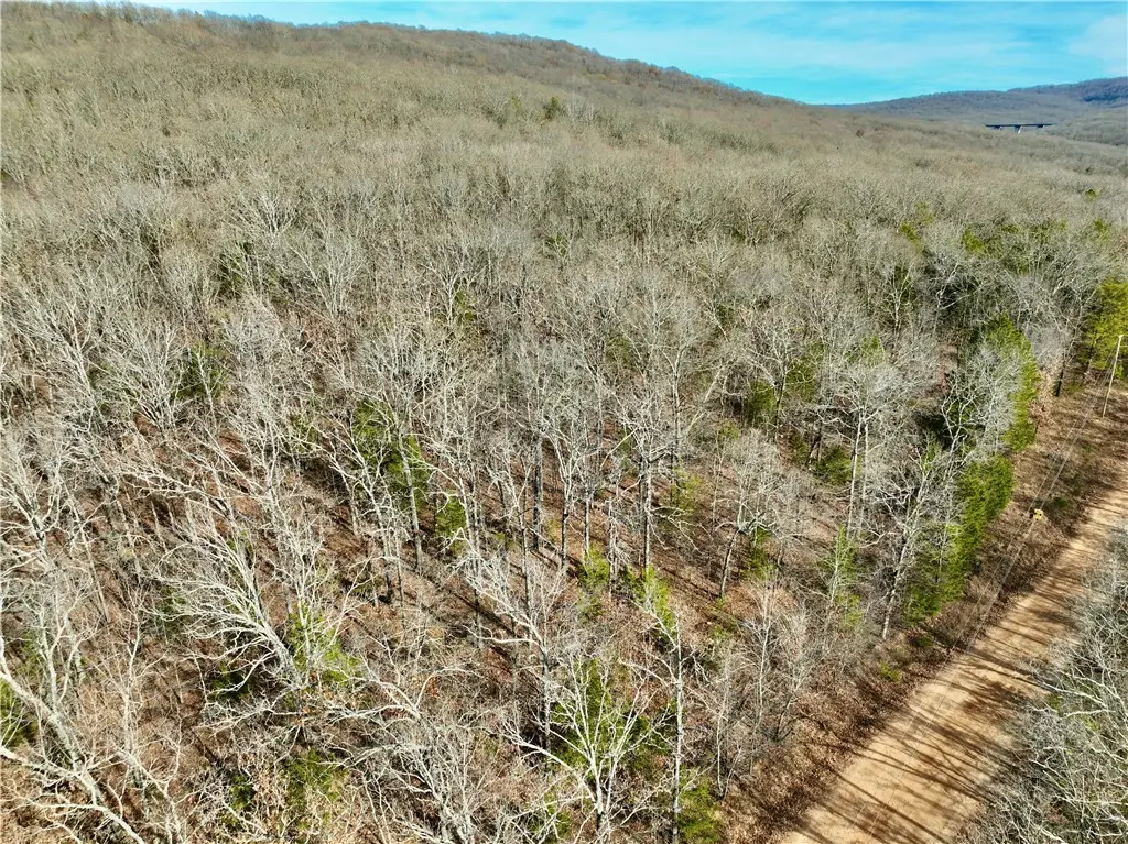 TBD Old Cabin Road, Winslow, AR 72959 - Image #1