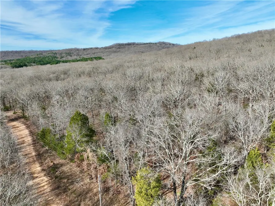 TBD Old Cabin Road, Winslow, AR 72959 - Image #2