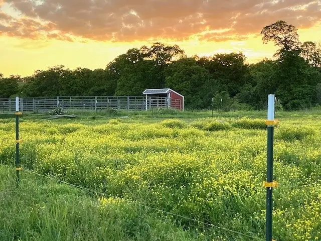 2.0 Acres E Mcnelly Road, Bentonville, AR 72712 - Image #2