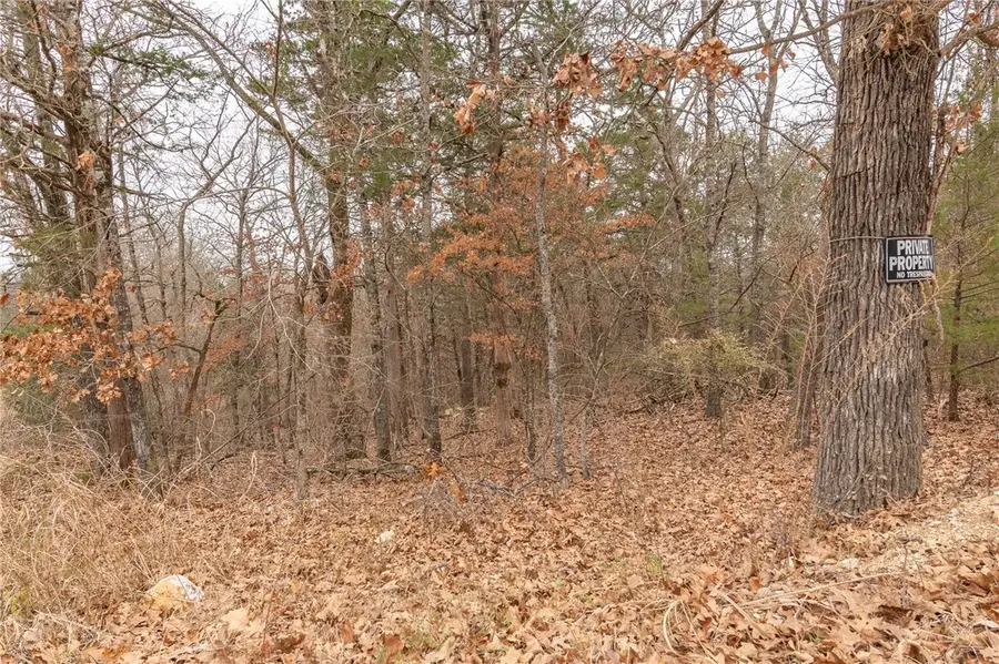 TBD Sunset Drive, Diamond City, AR 72644 - Image #3