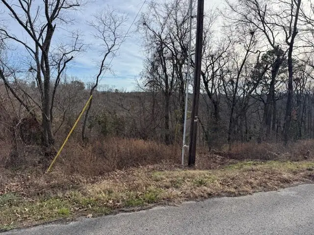 7 S Hills Loop, Holiday Island, AR 72631 - Image #2