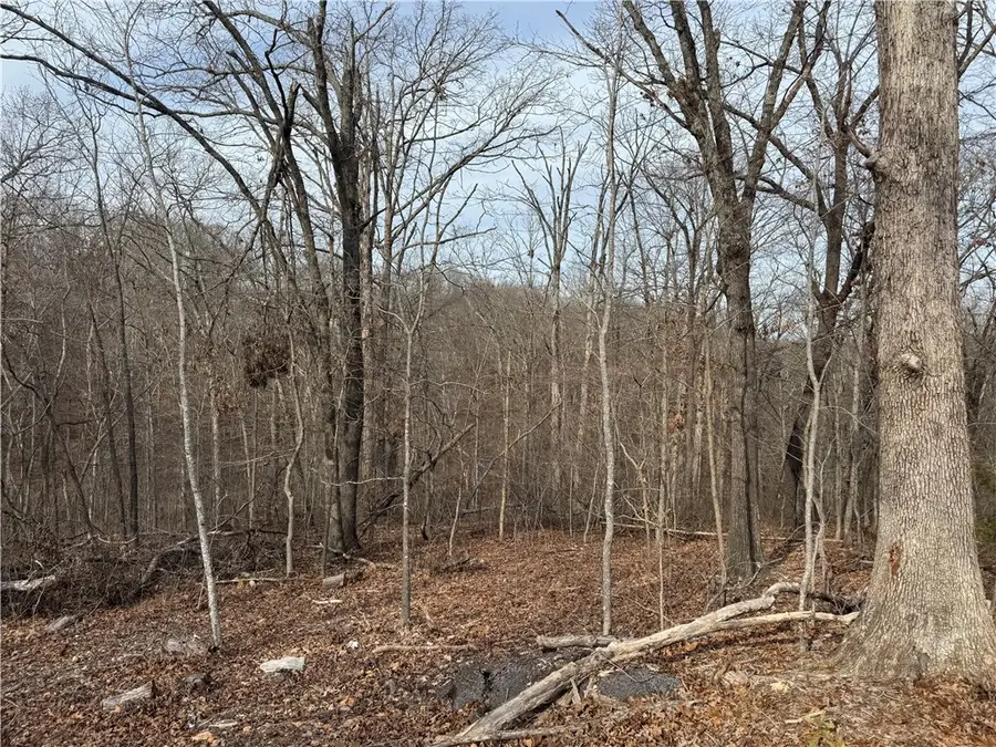 Address Withheld By Seller, Bella Vista, AR 72715 - Image #2