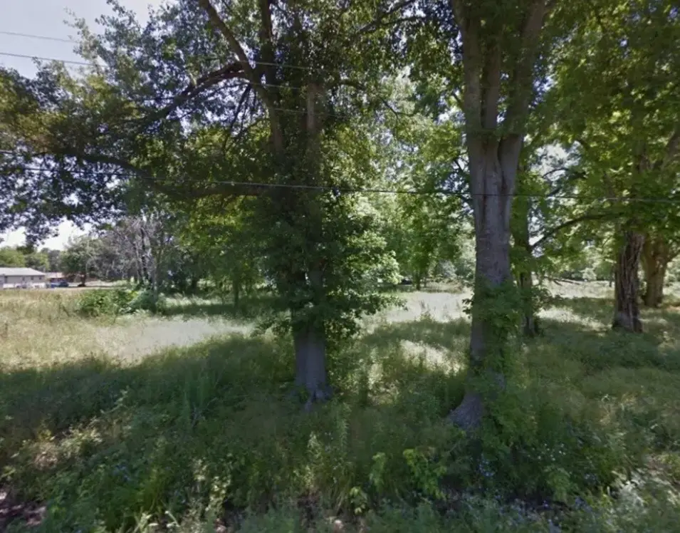 Lot 1 N Hardy Street, Dermott, AR 71638 - Image #1