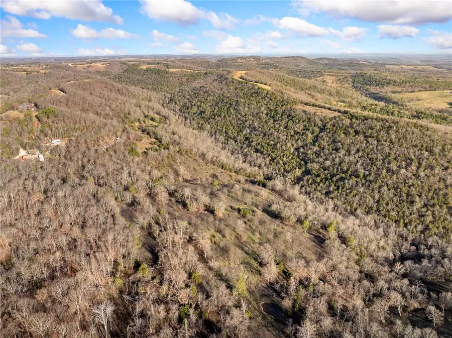 19764 Dubuque Road, Omaha, AR 72662 - Image #3