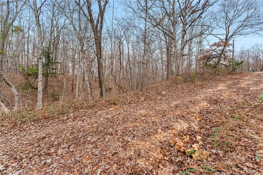 Lot 4 Rochester Drive, Bella Vista, AR 72714 - Image #2
