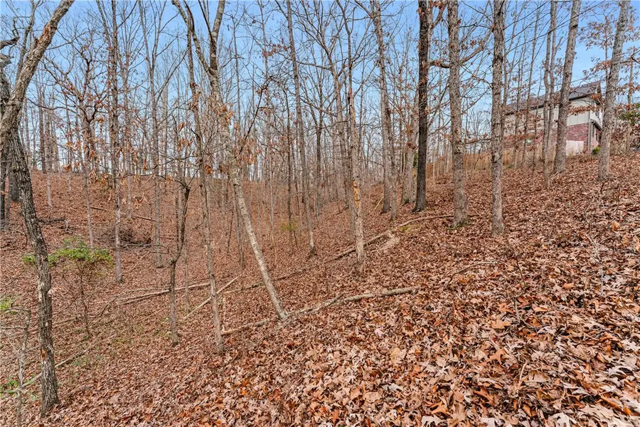 Lot 4 Rochester Drive, Bella Vista, AR 72714 - Image #3