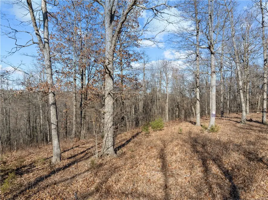 Nc 8378, Jasper, AR 72641 - Image #3