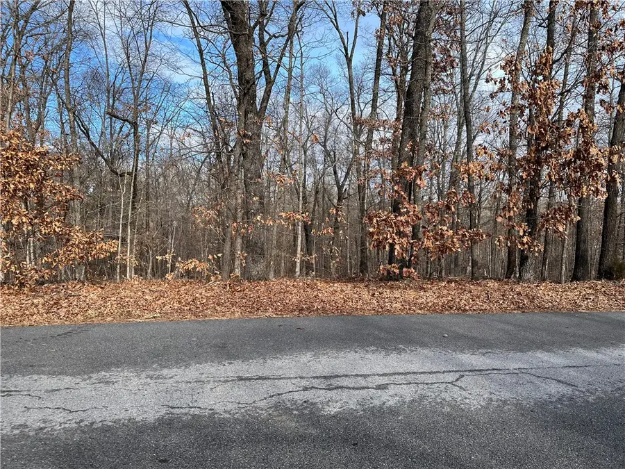 Lot 2, Block 3 Cranfield Drive, Bella Vista, AR 72714 - Image #2