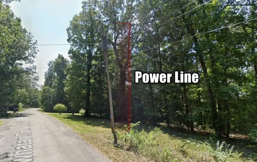 Lot 10 Powhatan Drive, Cherokee Village, AR 72529 - Image #2