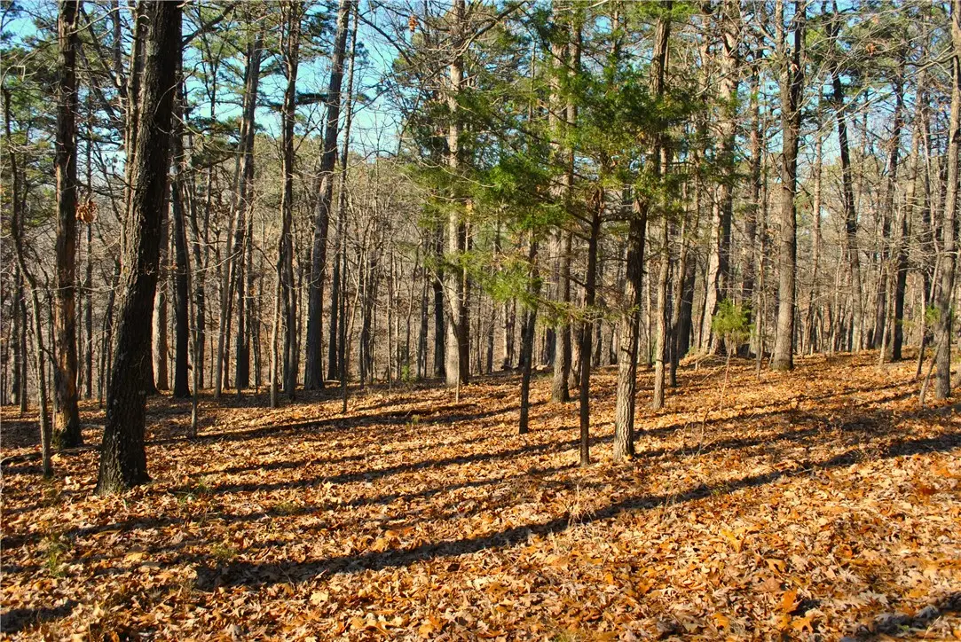 3.1 acres Railroad Cut Road, Rogers, AR 72756 - Image #1