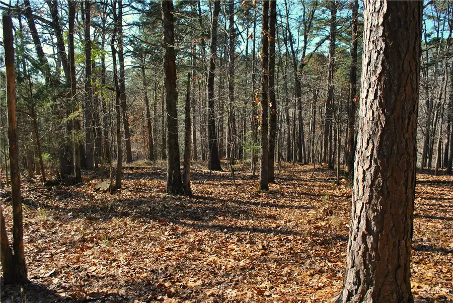 3.1 acres Railroad Cut Road, Rogers, AR 72756 - Image #3