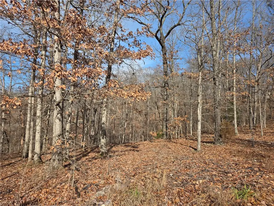 Silverton Lane, Bella Vista, AR 72715 - Image #2