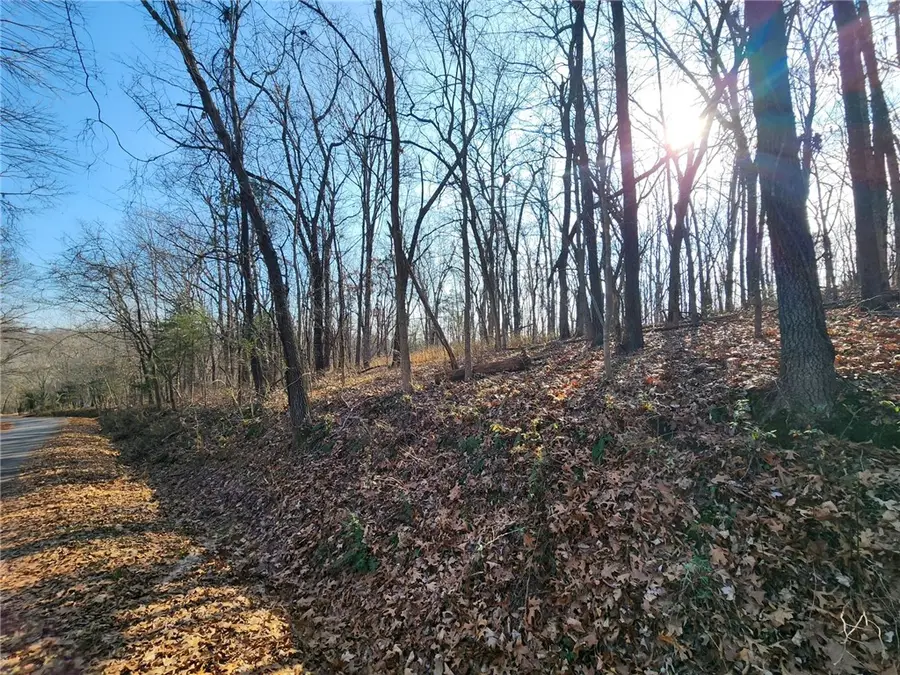 Lot 8 Chelmsworth Circle, Bella Vista, AR 72715 - Image #2