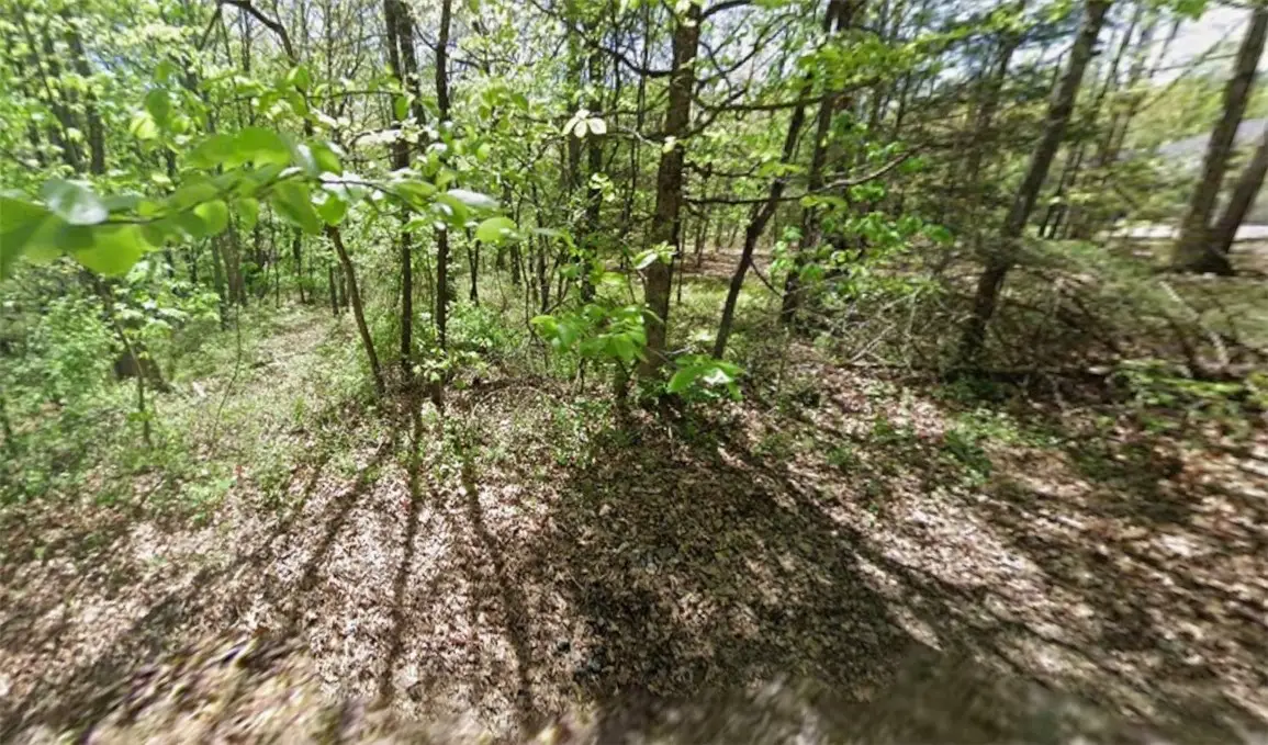 Lot 34 Darvel Lane, Bella Vista, AR 72715 - Image #1