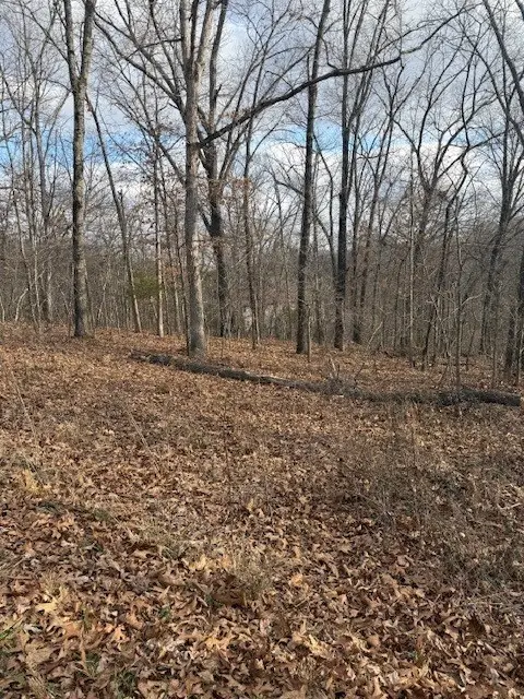 Lot 6 Amble Drive, Bella Vista, AR 72714 - Image #2