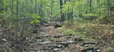 TBD Saint Simmons Lane, Eureka Springs, AR 72632 - Image #2