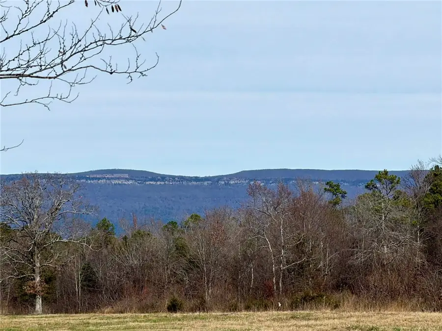 17430 Forest Rd 18, Havana, AR 72842 - Image #3