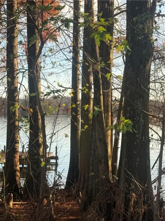 Address Withheld By Seller, Atkins, AR 72823 - Image #1