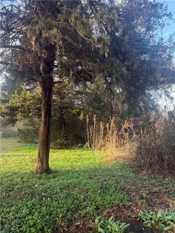 Address Withheld By Seller, Atkins, AR 72823 - Image #2