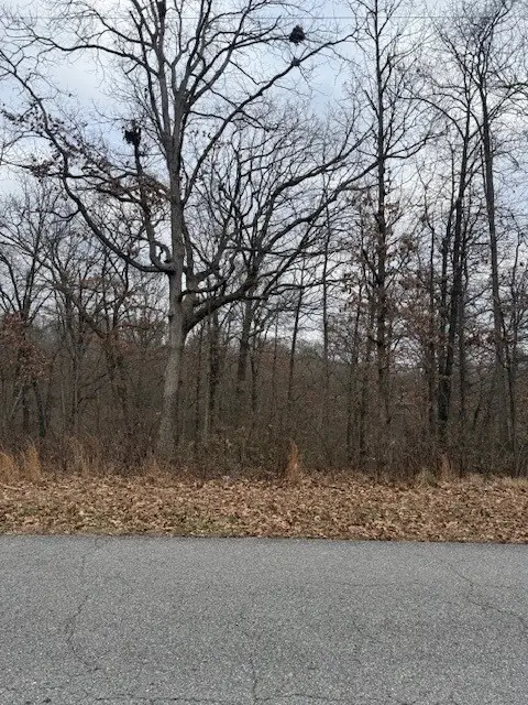 Lot 12 York Drive, Bella Vista, AR 72714 - Image #2