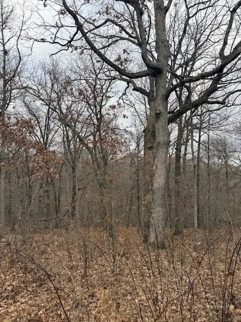 Lot 12 York Drive, Bella Vista, AR 72714 - Image #3