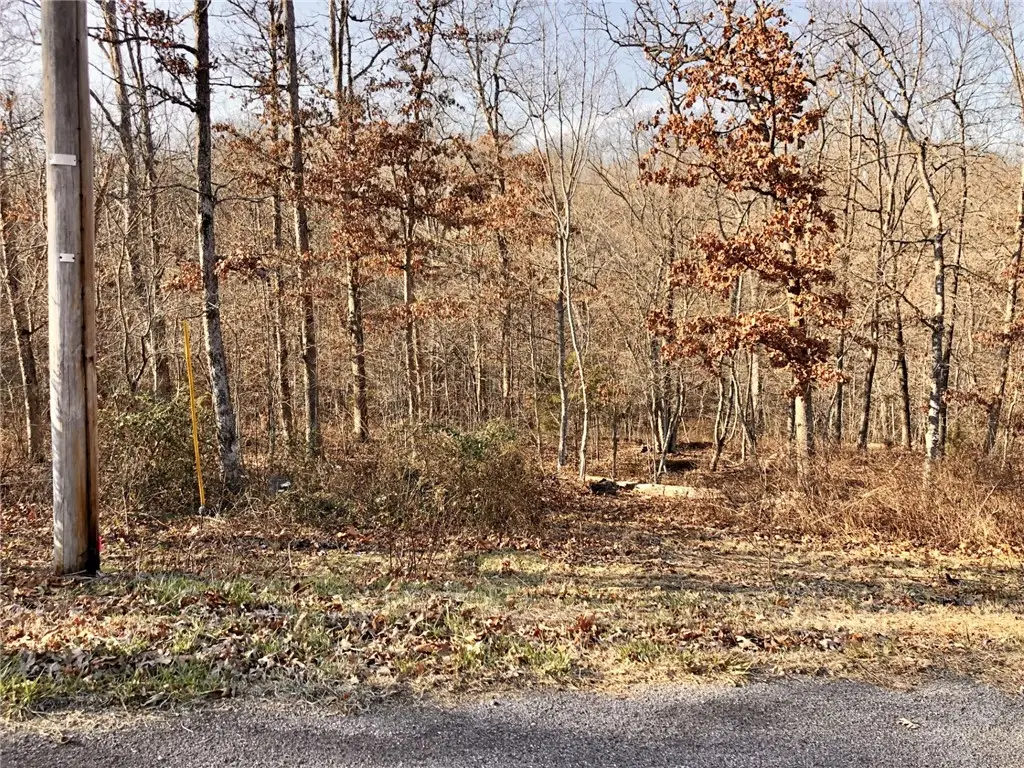 TBD Monmouth Drive, Bella Vista, AR 72714 - Image #1