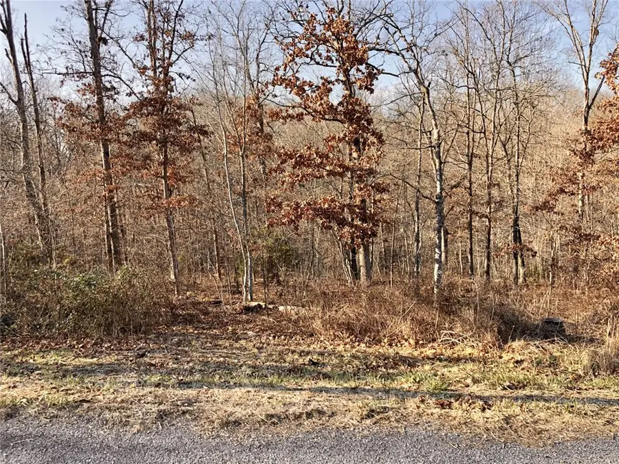 TBD Monmouth Drive, Bella Vista, AR 72714 - Image #2
