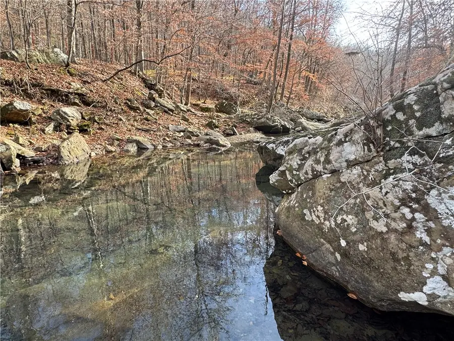 3702 Nc 8440, Parthenon, AR 72666 - Image #2