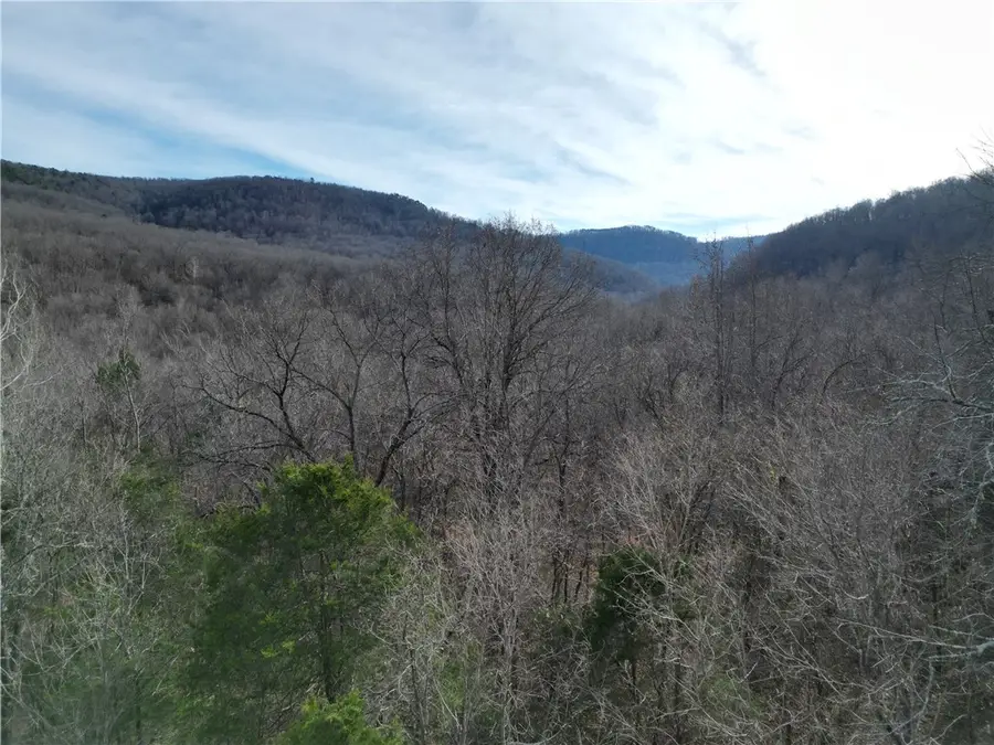 3702 Nc 8440, Parthenon, AR 72666 - Image #3