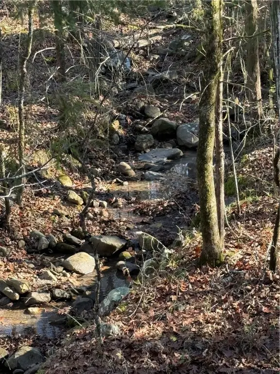 Nebo Acres Road, Dardanelle, AR 72834 - Image #1