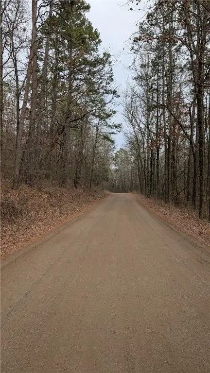 Evans Mountain Road, Appleton, AR 72823 - Image #2