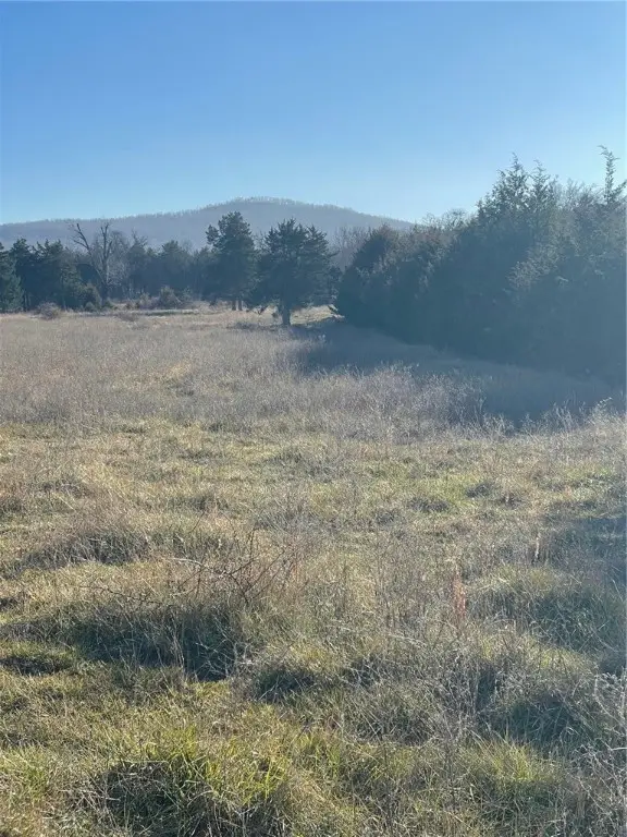 \estes Road, Harrison, AR 72601 - Image #3