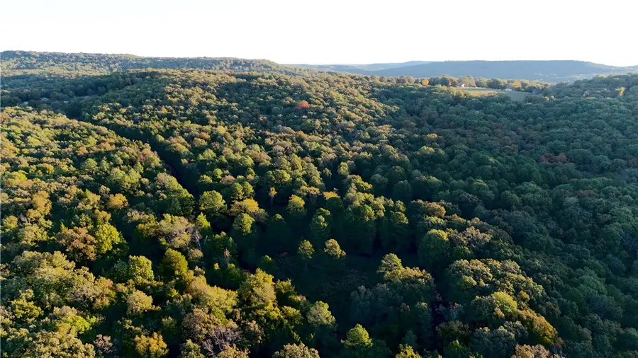 0000 Pawpaw Hollow Drive, Chester, AR 72934 - Image #2