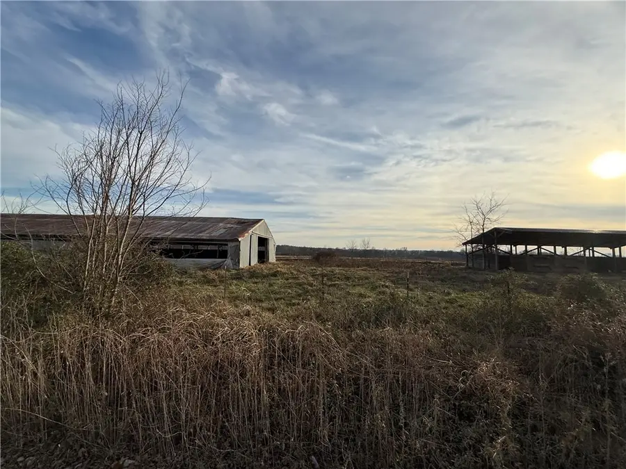 Young Road, Summers, AR 72769 - Image #3