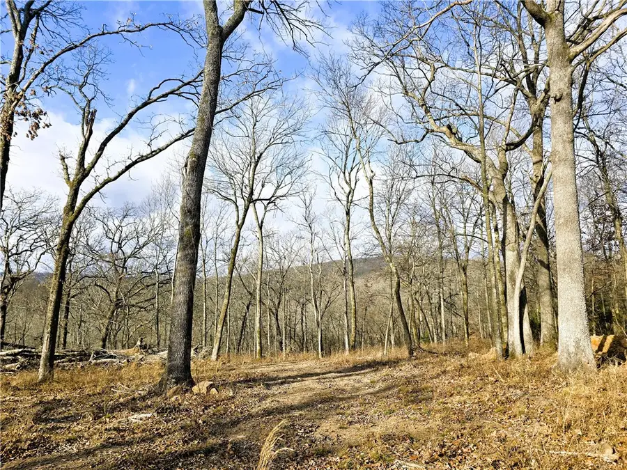 11546 & 11596 Brubaker Road, West Fork, AR 72774 - Image #2