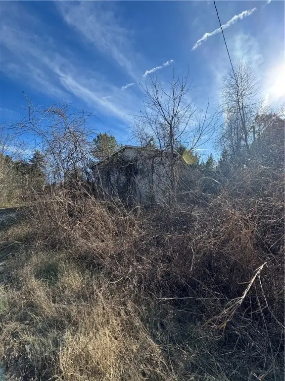 26800 Hwy 65, Western Grove, AR 72685 - Image #3