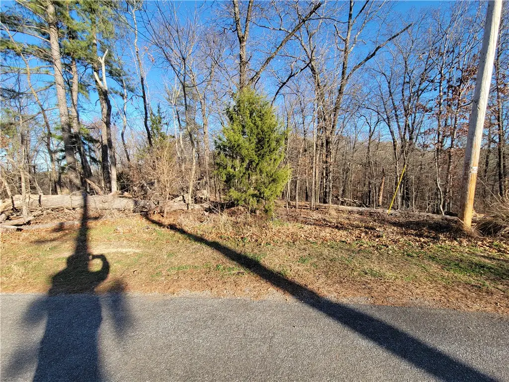 Lot1 Brierfield Lane, Bella Vista, AR 72714 - Image #1