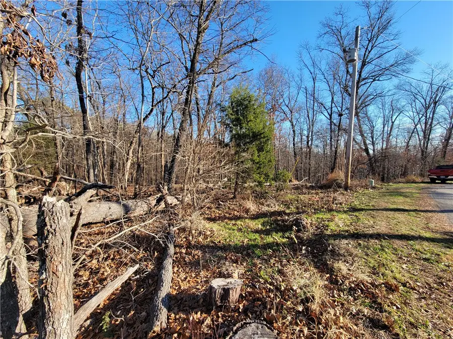 Lot1 Brierfield Lane, Bella Vista, AR 72714 - Image #2