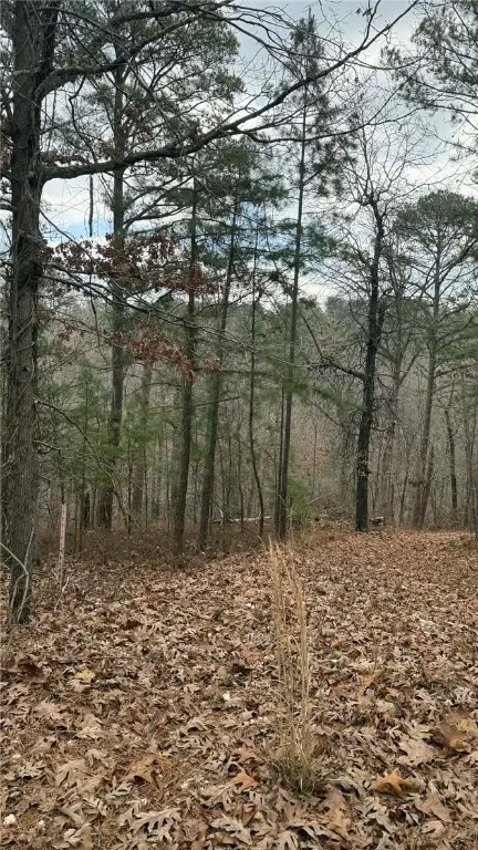 Lot 31, 32, 33 Bridge View Circle, Rogers, AR 72756 - Image #2
