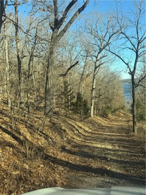 10532 Red Bluff Road, Garfield, AR 72732 - Image #2