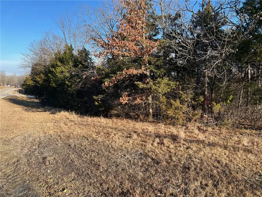 TBD Diamond Boulevard, Diamond City, AR 72630 - Image #3